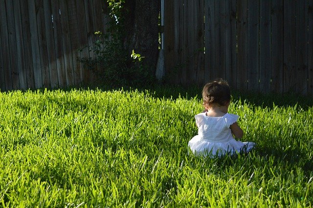 4 Ways to Personalize Your Fence